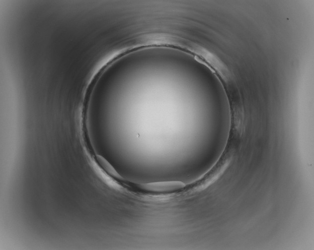 X0000111681134200907171628