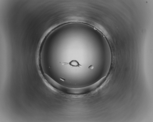 X0000111681136200907171628