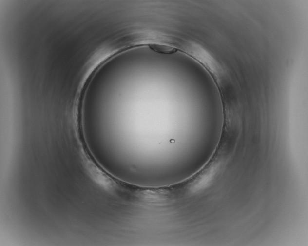 X0000111681138200907171628