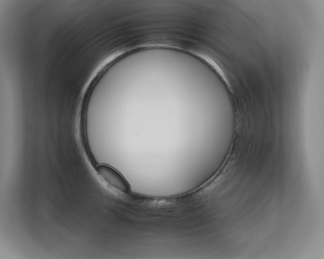 X0000111681139200907171628