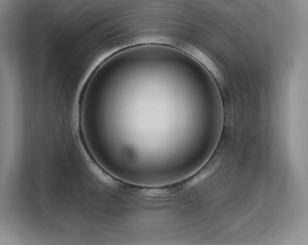 X0000111681140200907171628