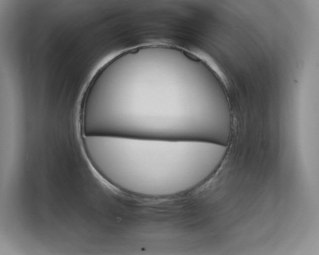 X0000111681143200907171628