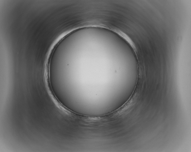 X0000111681144200907171628