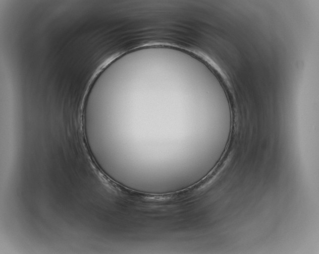 X0000111681145200907171628