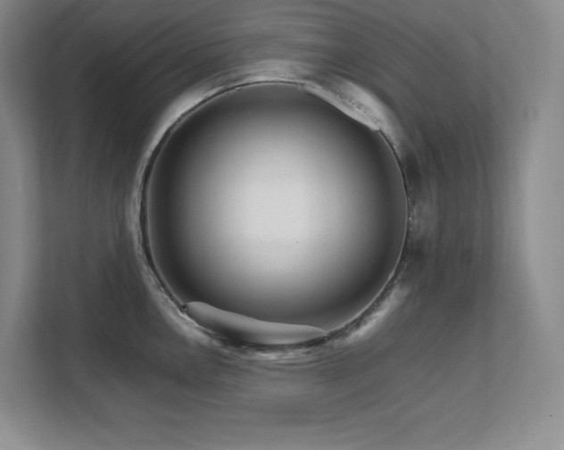 X0000111681146200907171628