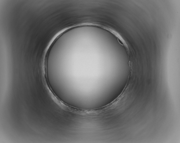 X0000111681148200907171628