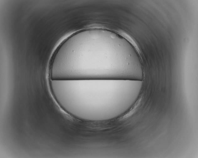 X0000111681149200907171628