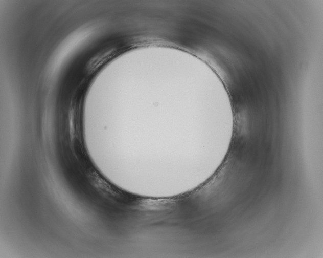 X0000111681150200907171628