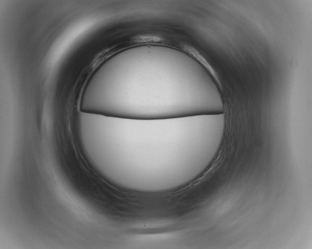 X0000111681151200907171628