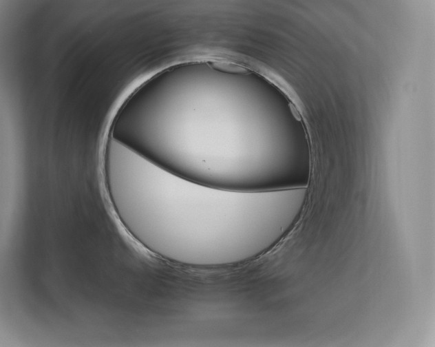 X0000111681152200907171628