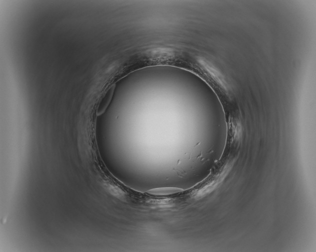 X0000111681153200907171628