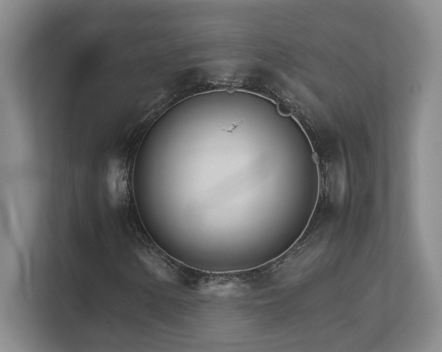 X0000111681154200907171628