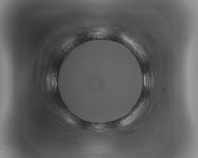 X0000111681155200907171628