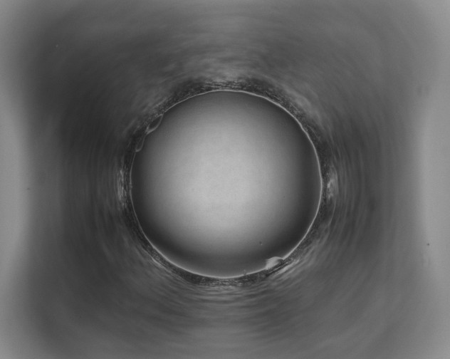 X0000111681156200907171628