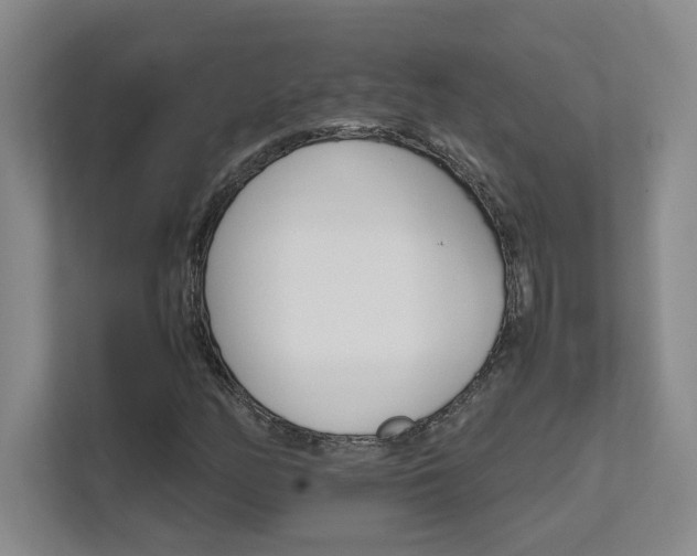 X0000111681158200907171628