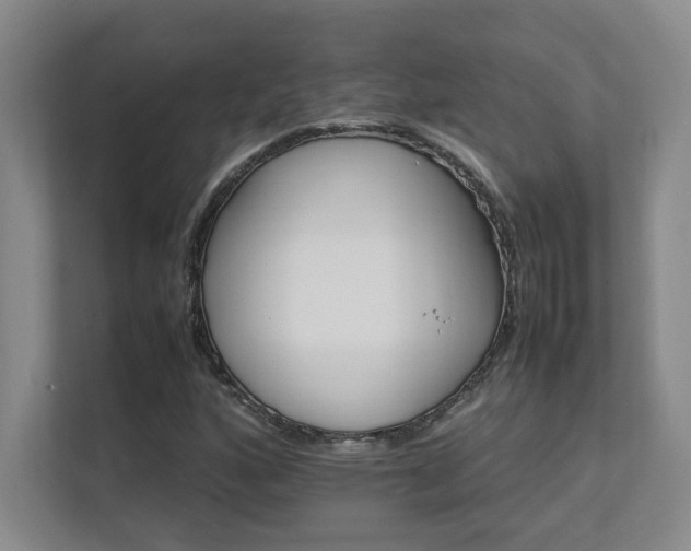 X0000111681160200907171628