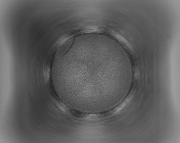 X0000111681161200907171628