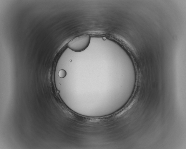 X0000111681162200907171628