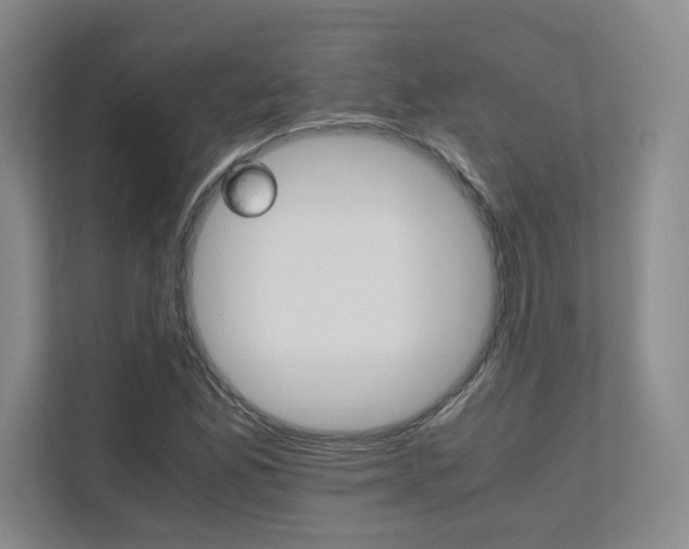 X0000111681165200907171628