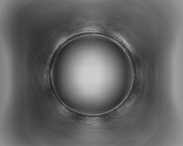 X0000111681168200907171628