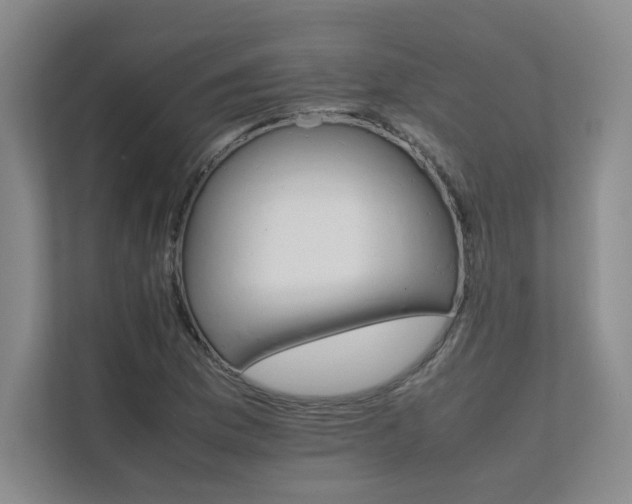 X0000111681169200907171628