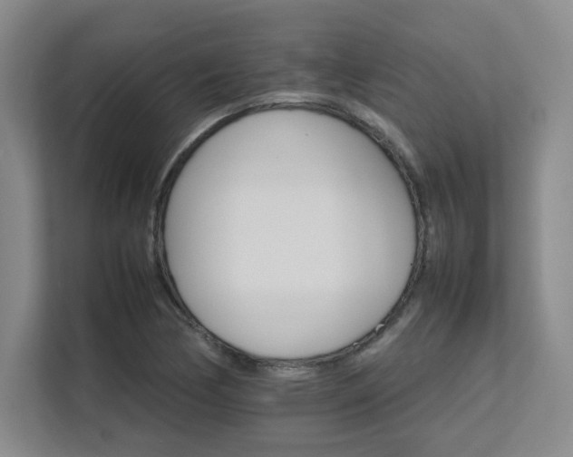 X0000111681170200907171628