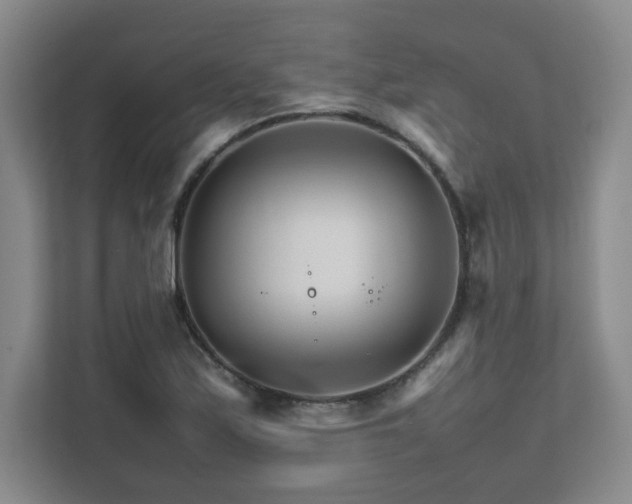 X0000111681171200907171628