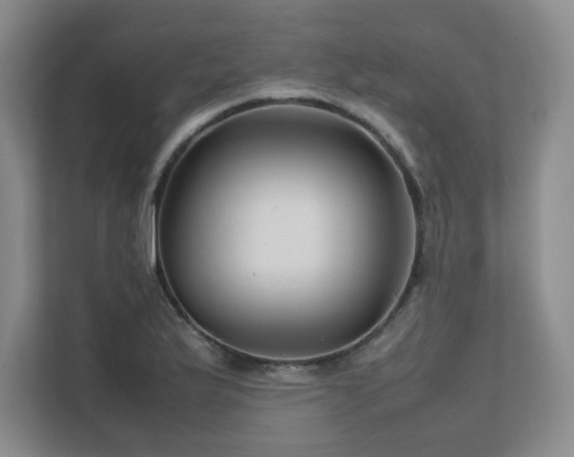 X0000111681175200907171628