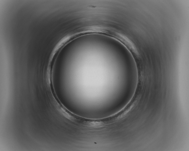 X0000111681180200907171628