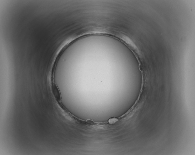 X0000111681181200907171628