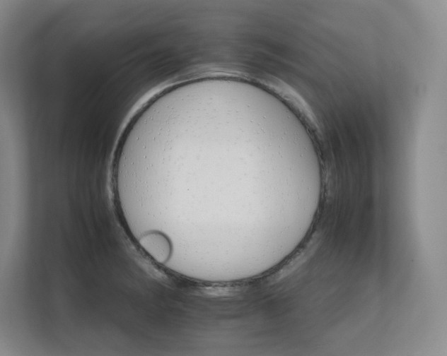 X0000111681182200907171627