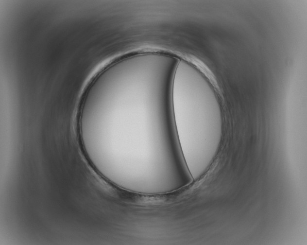 X0000111681183200907171627