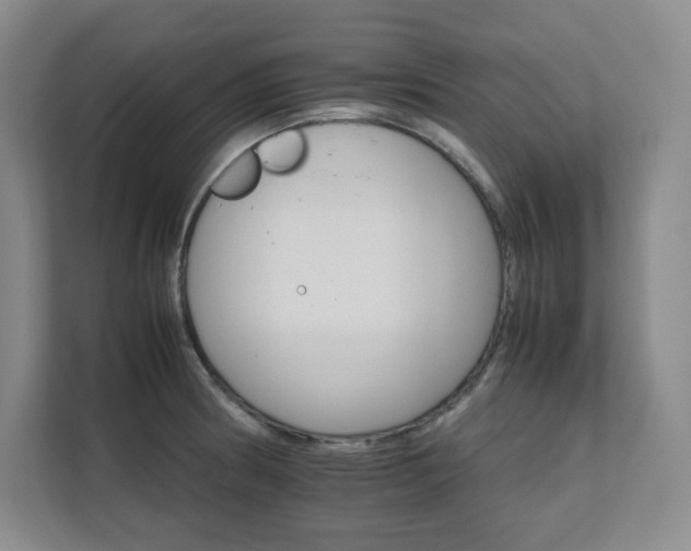 X0000111681186200907171627