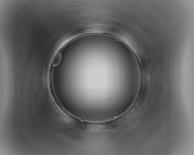 X0000111681187200907171627