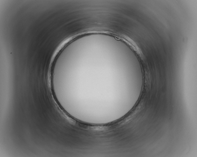 X0000111681188200907171627