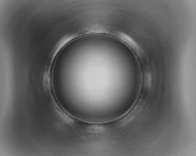 X0000111681190200907171627