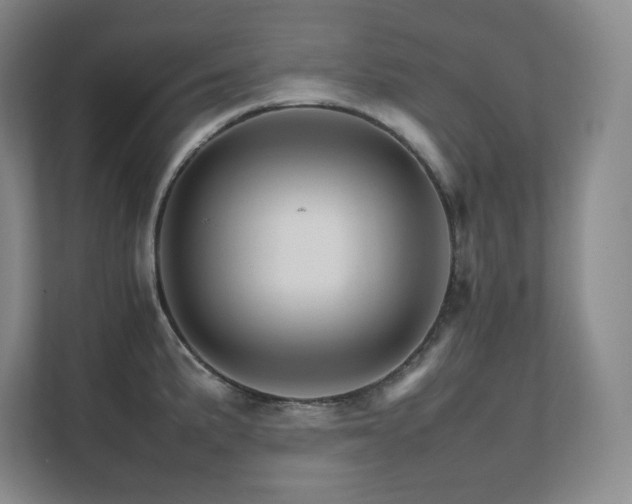 X0000111681191200907171627