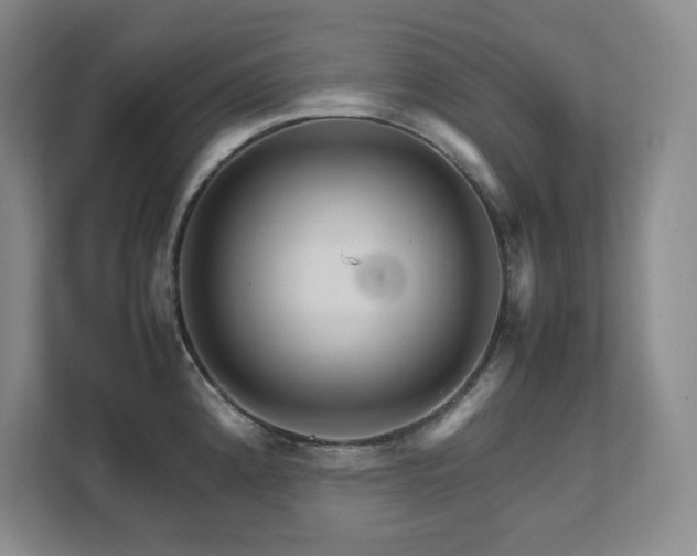 X0000111681192200907171627