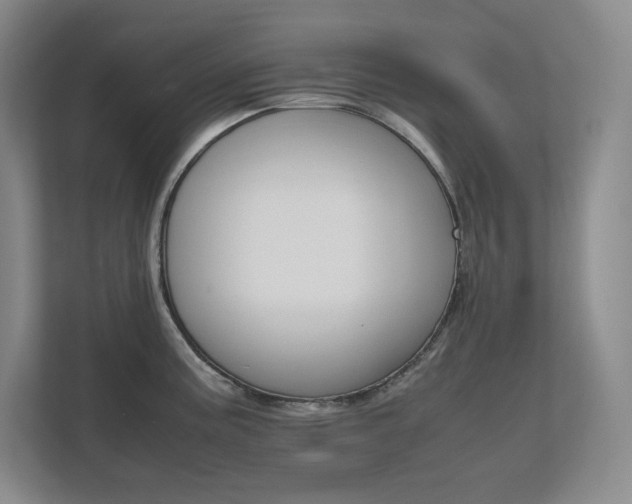 X0000111681195200907171627