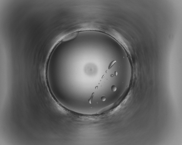 X0000111681197200907171627