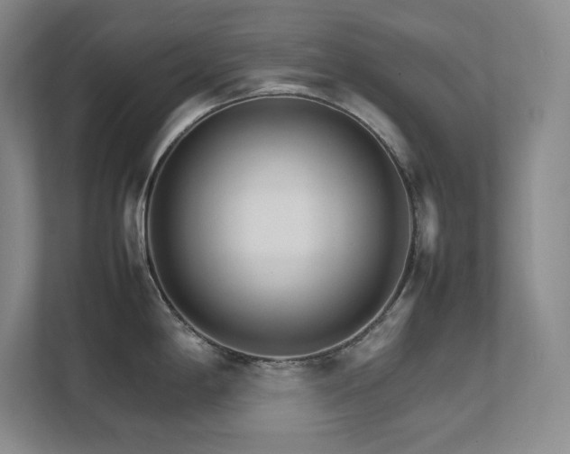 X0000111681198200907171627