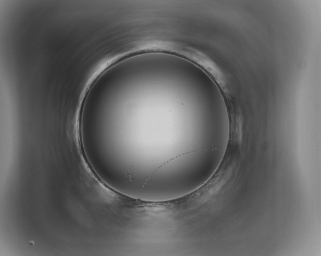 X0000111681199200907171627