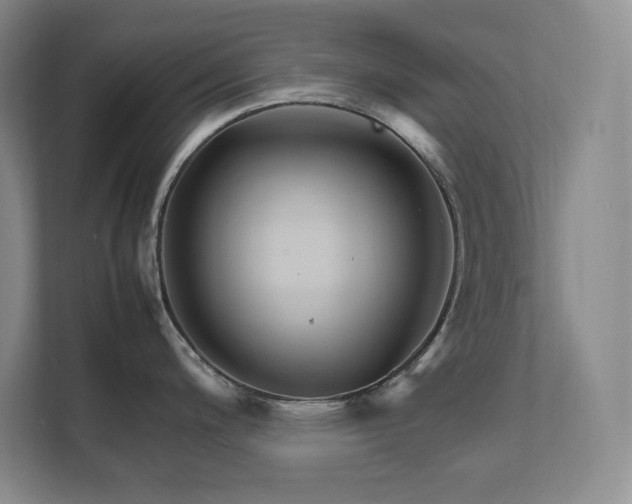 X0000111681200200907171627