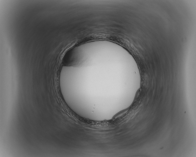 X0000111681201200907171627