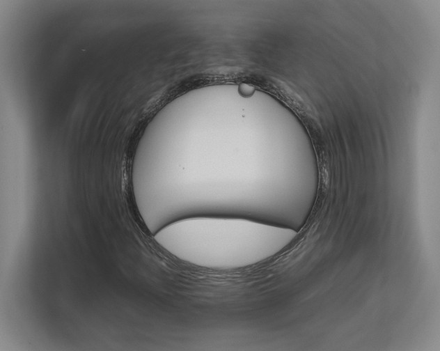 X0000111681204200907171627