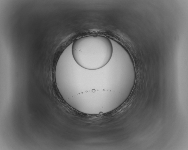 X0000111681205200907171627