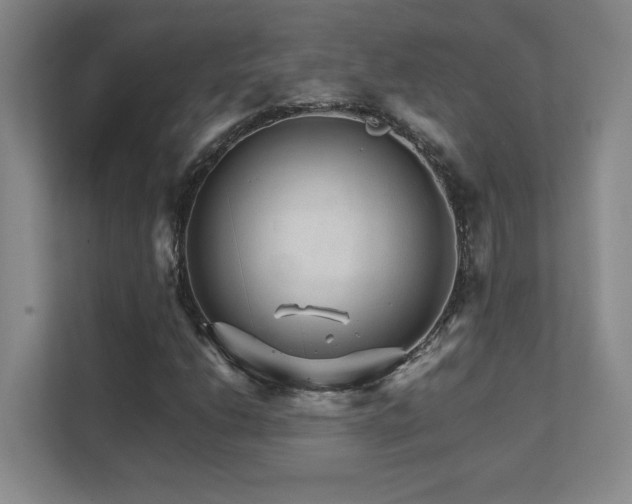 X0000111681206200907171627