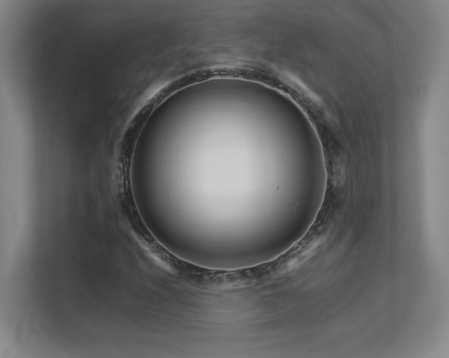 X0000111681208200907171627