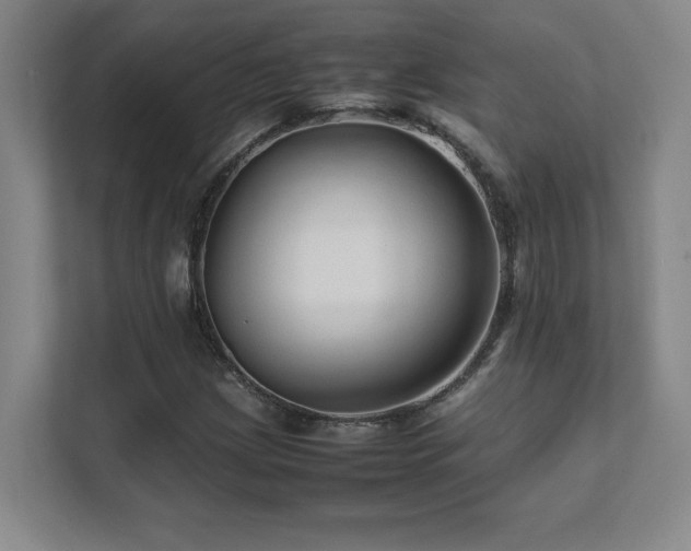 X0000111681209200907171627