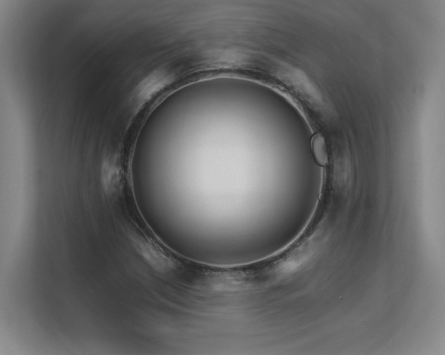 X0000111681210200907171627